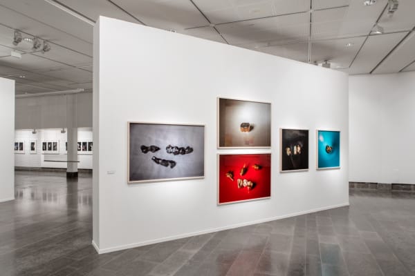 Annika Elisabeth von Hausswolff Installation view, 'Grand Theory Hotel', Hasselblad Foundation, Gothenburg, Sweden, 2016