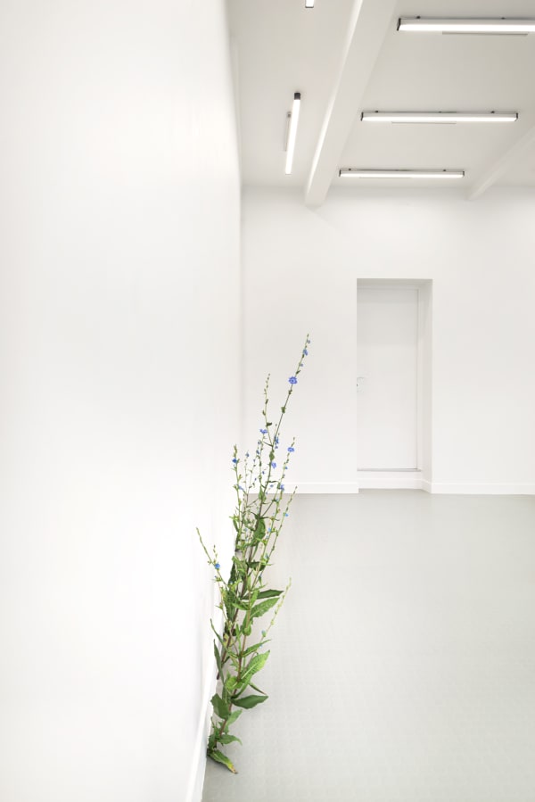 Tony Matelli Installation view "Abandon" Andréhn-Schiptjenko, Paris, France, 2020