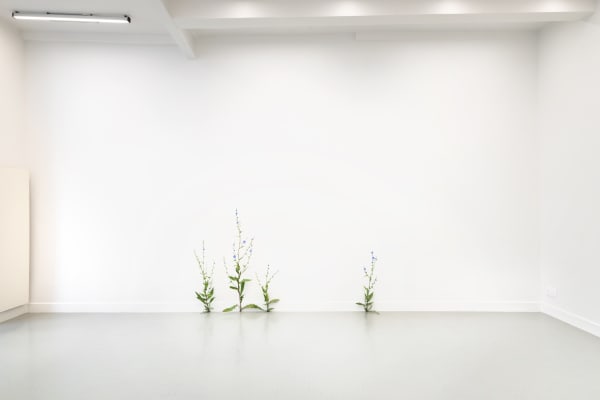 Tony Matelli Installation view "Abandon" Andréhn-Schiptjenko, Paris, France, 2020