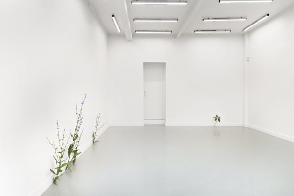Tony Matelli Installation view "Abandon" Andréhn-Schiptjenko, Paris, France, 2020