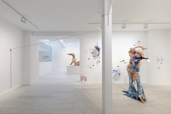 Cajsa von Zeipel Installation view, Alternative Milk, Andréhn-Schiptjenko, Paris, France, 2022