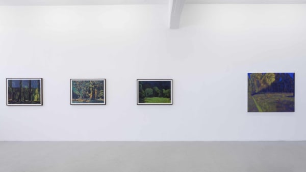 Martin Jacobson Installation view, Landscapes, Andréhn-Schiptjenko, Stockholm, Sweden, 2014