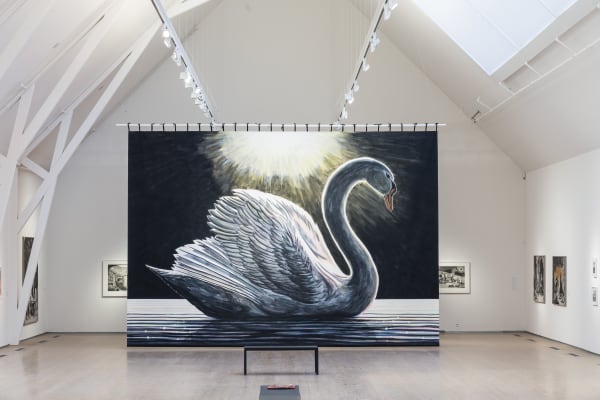 Martin Jacobson Installation view, Med omnejd, Vandalorum, Värnamo, Sweden, 2019