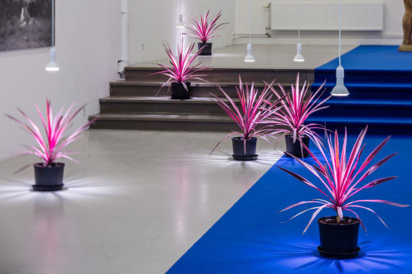 Santiago Mostyn Installation view, 'The Warming Plateau', Andréhn-Schiptjenko, Stockholm, Sweden, 2018