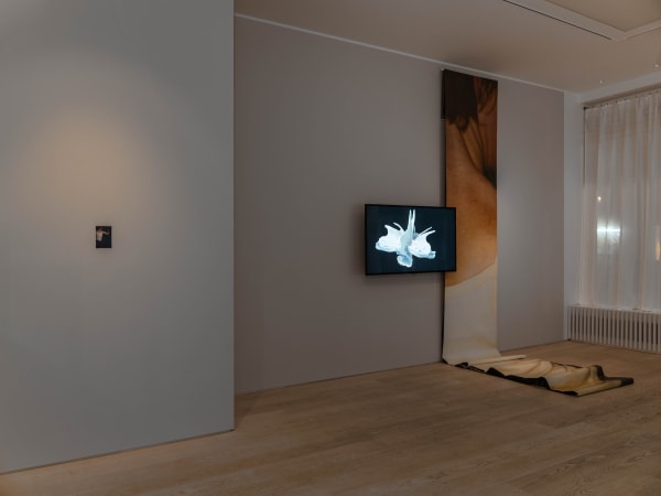 Santiago Mostyn Installation view, 'Your Shadow is a Mirror', Andréhn-Schiptjenko, Stockholm, Sweden, 2021