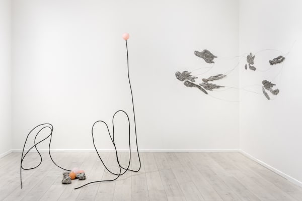 Carin Ellberg Installation view, Coastal settlers and species from the sea, Andréhn-Schiptjenko Paris, 2025.