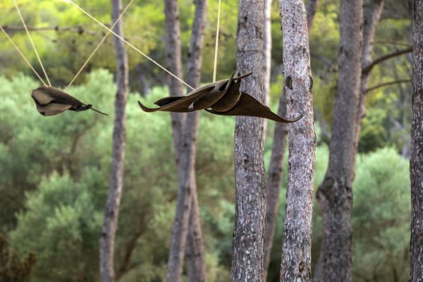 Martín Soto Climent Installation view, 'The Imaginary Sea', Villa Carmignac, Porquerolles island, France, 2021