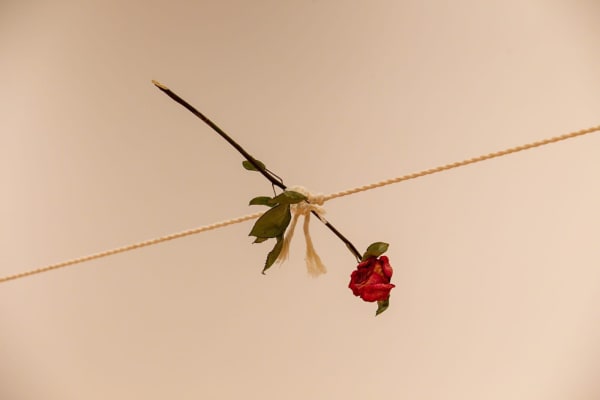 Martín Soto Climent Installation view, El sendero del poeta, The Museum of Mexico City, Mexico.