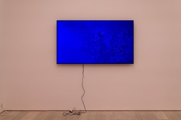 Annika Larsson, STRANGE POWERS, installation view, Andréhn-Schiptjenko, Stockholm, 2023