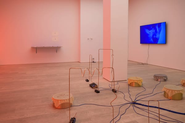 Annika Larsson, STRANGE POWERS, installation view, Andréhn-Schiptjenko, Stockholm, 2023