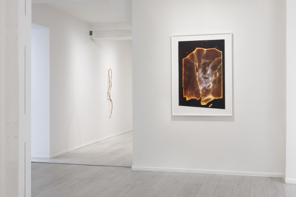 Sabine Mirlesse, Installation view, Voyant, Andréhn-Schiptjenko Paris, 2024.