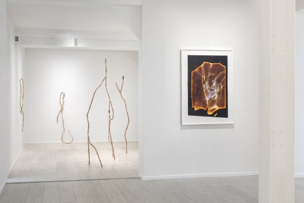 Sabine Mirlesse, Installation view, Voyant, Andréhn-Schiptjenko Paris, 2024.