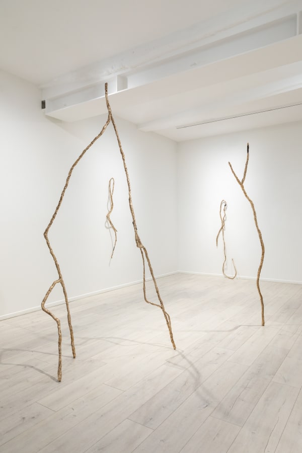 Sabine Mirlesse, Installation view, Voyant, Andréhn-Schiptjenko Paris, 2024.