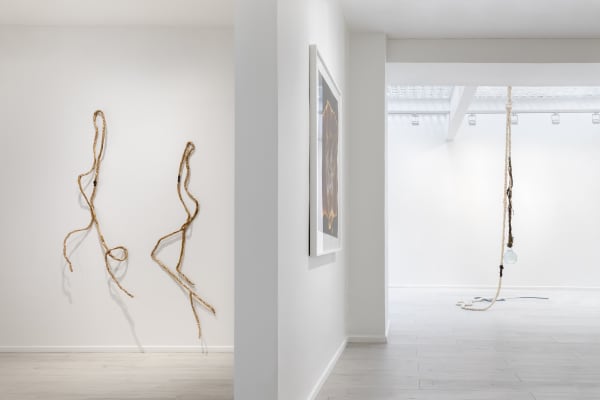 Sabine Mirlesse, Installation view, Voyant, Andréhn-Schiptjenko Paris, 2024.