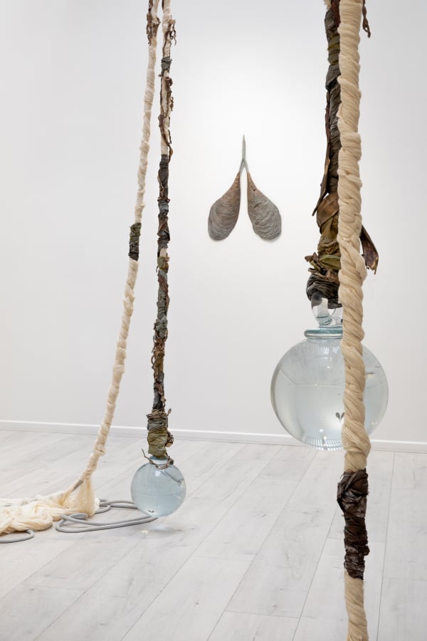 Sabine Mirlesse, Installation view, Voyant, Andréhn-Schiptjenko Paris, 2024.