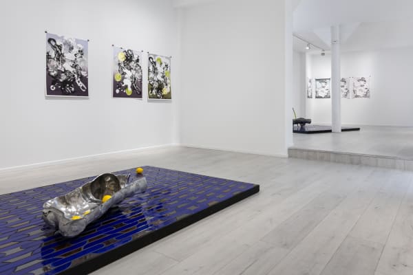 José León Cerrillo Installation view, vanitas at Andréhn-Schiptjenko Paris, 2025.