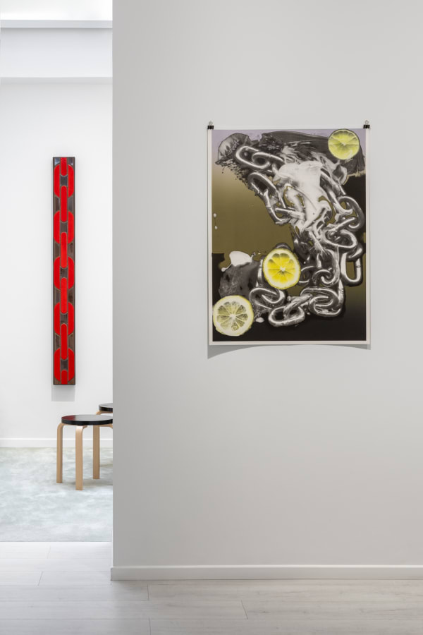 José León Cerrillo Installation view, vanitas at Andréhn-Schiptjenko Paris, 2025.