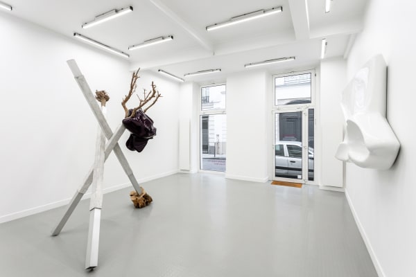 Siobhán Hapaska Installation view Andréhn-Schiptjenko, Paris, France, 2019