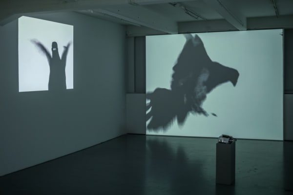 Abigail Lane Installation view "Zoo 1994-2017", Andréhn-Schiptjenko, Stockholm, Sweden, 2017