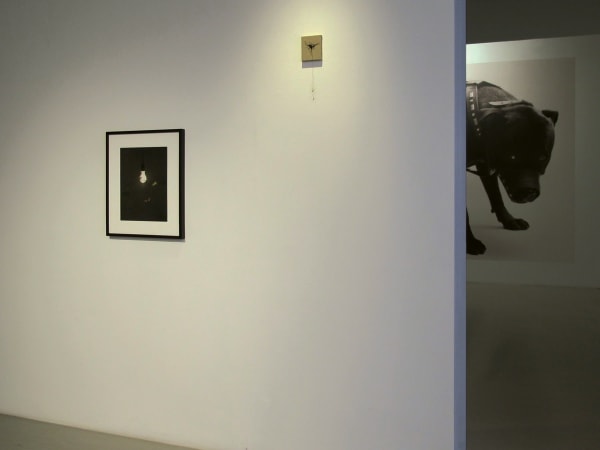 Abigail Lane Installation view "Zoo 1994-2017", Andréhn-Schiptjenko, Stockholm, Sweden, 2017