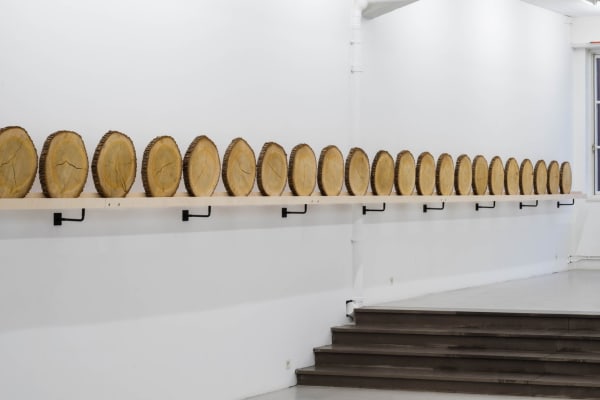 Xavier Veilhan Installation view "Cedar" Andréhn-Schiptjenko Stockholm, 2015