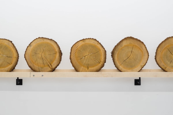 Xavier Veilhan Installation view "Cedar" Andréhn-Schiptjenko Stockholm, 2015