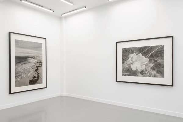 Installation view, Gunnel Wåhlstrand, at Andréhn-Schiptjenko, Paris, 2020. © C. Maignien