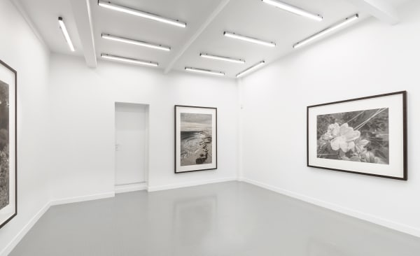 Installation view, Gunnel Wåhlstrand, at Andréhn-Schiptjenko, Paris, 2020. © C. Maignien