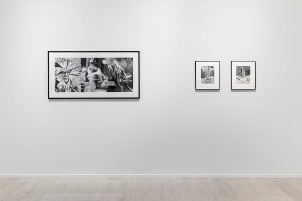 Linder Installation view, The Groom at Andréhn-Schiptjenko, Paris, France, 2023.