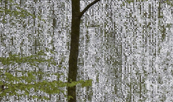 Katarina Löfström - Open Source (Panavision), 2020