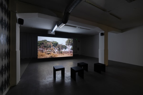 Installation view, Language Against Identity, Skånes konstförening, Malmö, Sweden. Photo: Lena Bergendahl