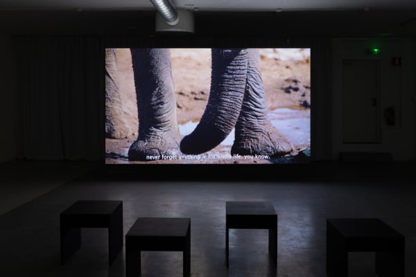 Installation view, Language Against Identity, Skånes konstförening, Malmö, Sweden. Photo: Lena Bergendahl