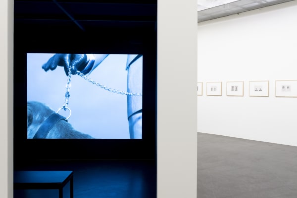 Annika Larsson, Installation view "Dog", Lentos Art Museum Linz, Austria. Photo: maschekS. 2021