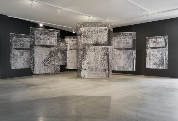 Santiago Mostyn Grass Widows Ink prints on chiffon, wheatpasted poster prints, clay, mirror, video monitor, wooden objects, archival inkjet prints in shadow frames, Cordyline fruticosa plant, LED daylight lamp. 2020