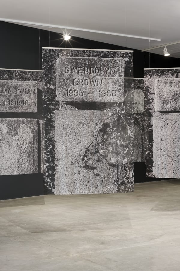 Santiago Mostyn Grass Widows Ink prints on chiffon, wheatpasted poster prints, clay, mirror, video monitor, wooden objects, archival inkjet prints in shadow frames, Cordyline fruticosa plant, LED daylight lamp. 2020