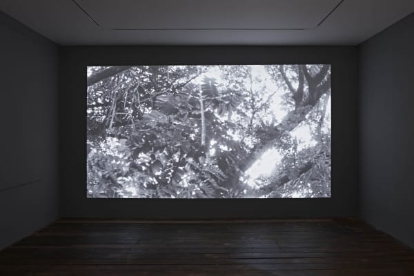 The Show Is Over, Curated by Gabi Ngcobo in dialogue with Oscar Murillo, South London Gallery, June 2022, Installation view, Andy Stagg