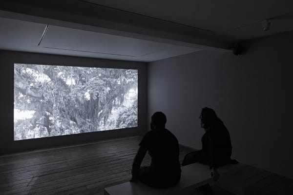 The Show Is Over, Curated by Gabi Ngcobo in dialogue with Oscar Murillo, South London Gallery, June 2022, Installation view, Andy Stagg