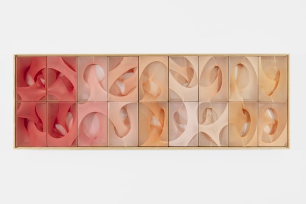 Installation view, El luminoso revoloteo de la mariposa blanca, Martín Soto Climent
