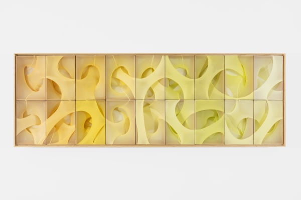 Installation view, El luminoso revoloteo de la mariposa blanca, Martín Soto Climent