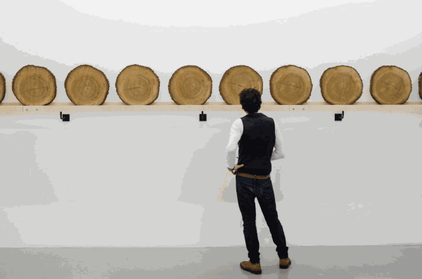 Xavier Veilhan, Cedar, 2015