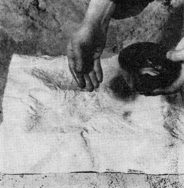 Peter Piller, Undefined Lines