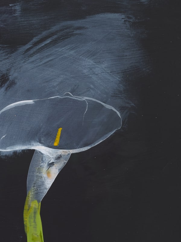 Frieze Viewing Rooms - Los Angeles