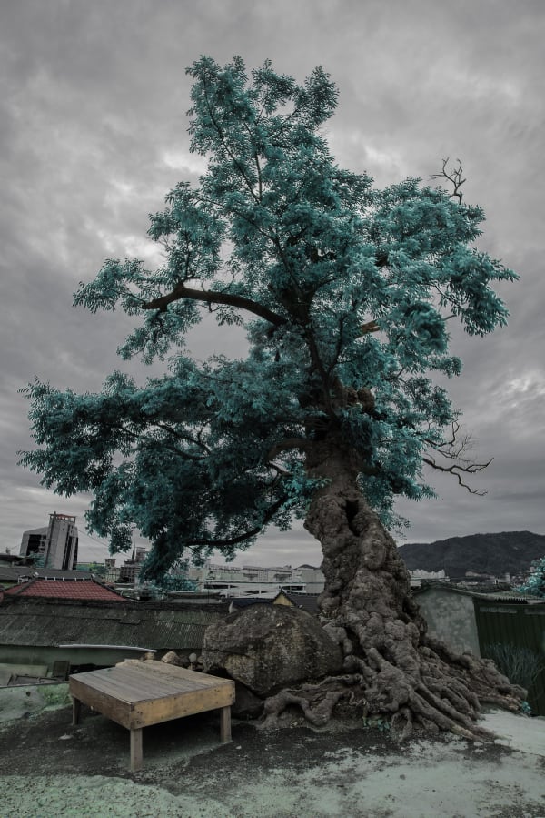 Guardian Tree Kuam Village Series Of Another World 2018 120 80Cm