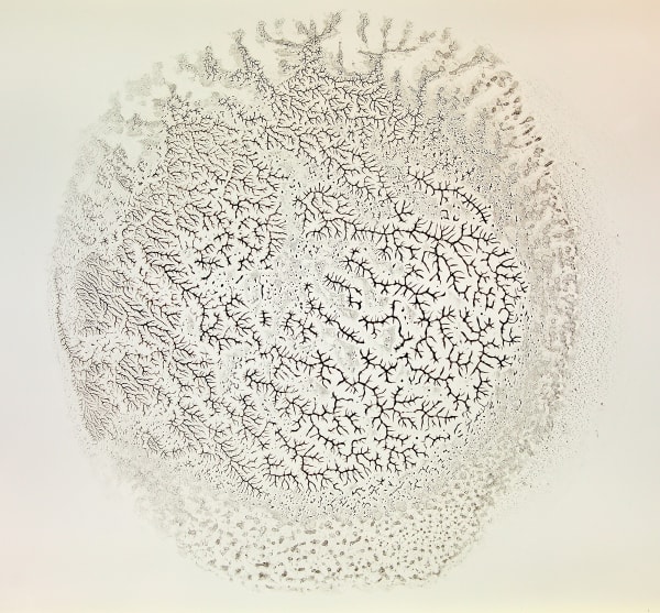 © Kiyotaka Morooka #010, Series of “Fotosynthesis”