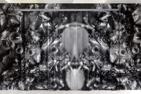 Anastasia Potemkina 5