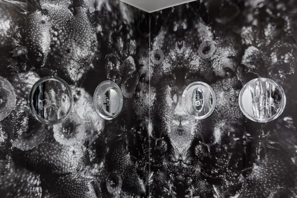 Anastasia Potemkina 7