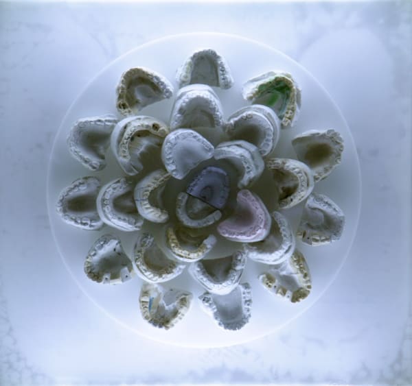 Patrakeevdenis 1364476474