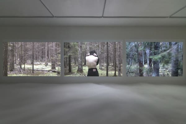 Marchantia Polymorpha: Up Close and Personal Anastasia Potemkina