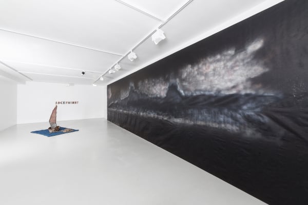 Our coming was expected on earth Haim Sokol