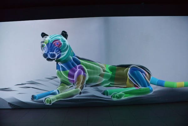 Insectum Maxim Svishev